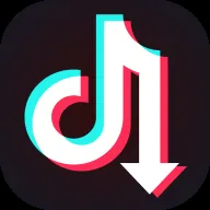 tiktok视频下载 截图2