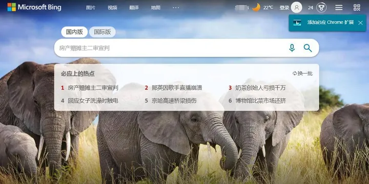 Bing 截图1