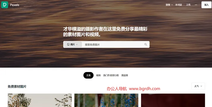 Pexels 截图1