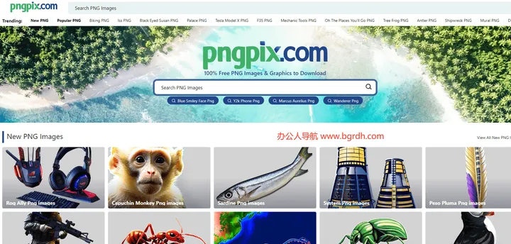 PngPix 截图1