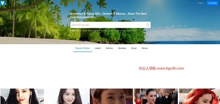 VSGIF 截图1