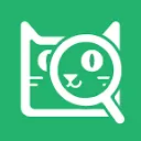 企业信息查询 截图7
