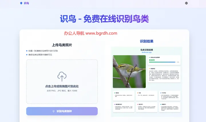 识鸟 截图1