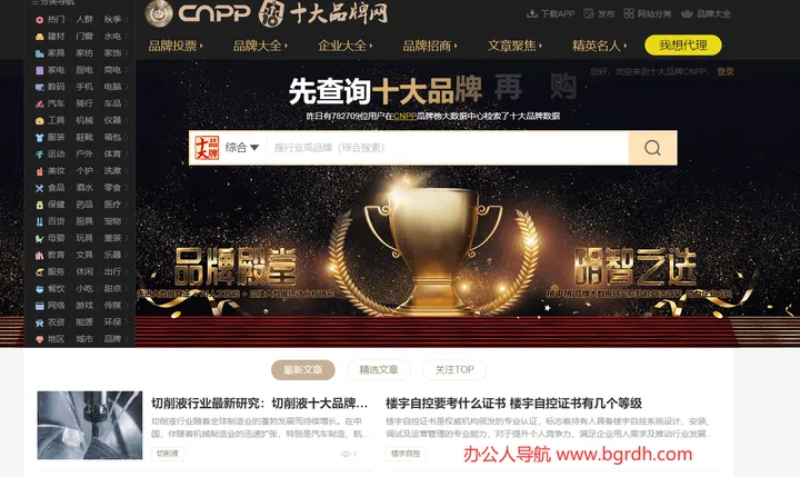 十大品牌网 截图1