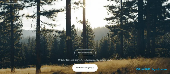 tree.fm 截图2